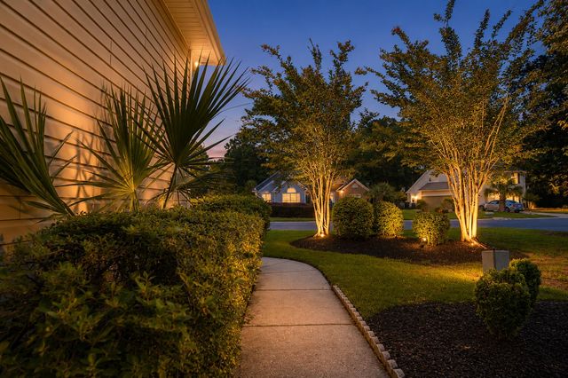1140 Black Rush Circle, Mount Pleasant, SC 29466