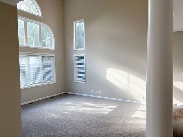 4 Alleghany Court, Bolingbrook, IL 60440