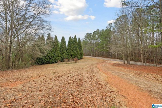 1753 COUNTY ROAD 111, Ranburne, AL 36273