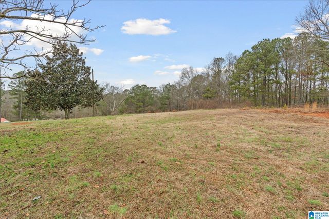 1753 COUNTY ROAD 111, Ranburne, AL 36273