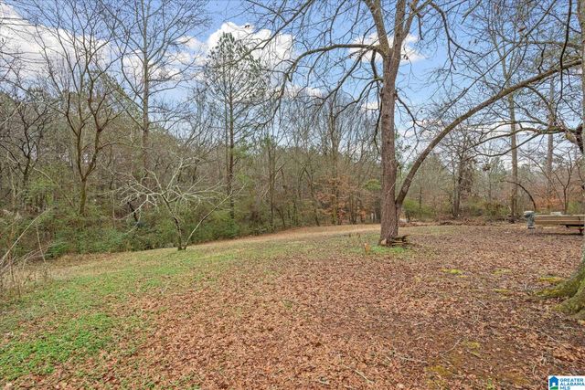 1753 COUNTY ROAD 111, Ranburne, AL 36273