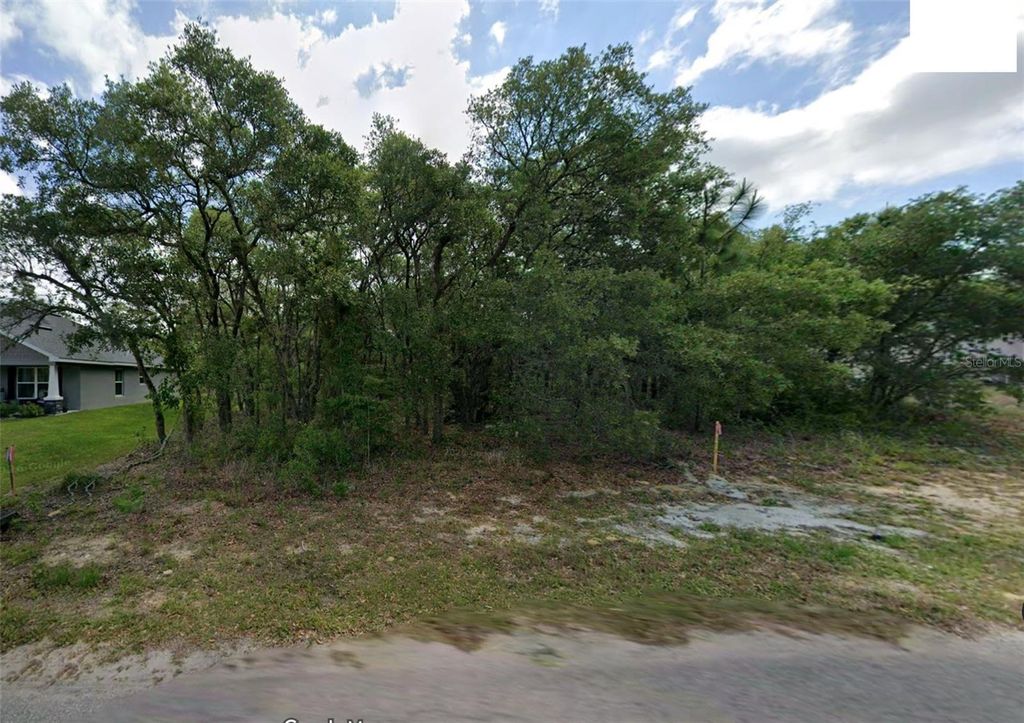 14 NEMESIA COURT E, Homosassa, FL 34446