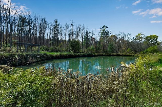 9069 West Hill Road, Allen, NY 14735