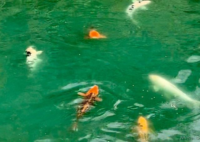 9069 West Hill Road, Allen, NY 14735