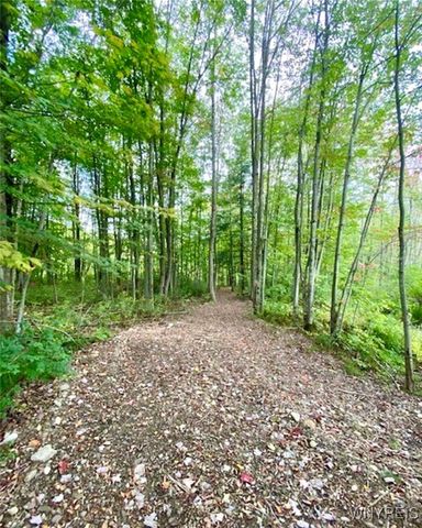 9069 West Hill Road, Allen, NY 14735