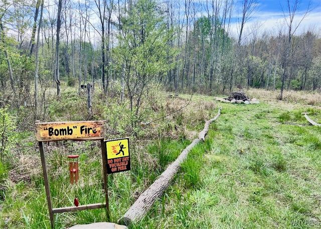 9069 West Hill Road, Allen, NY 14735