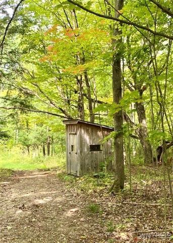 9069 West Hill Road, Allen, NY 14735