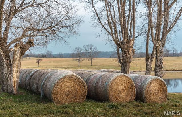 10555 Pashia Road, Potosi, MO 63664