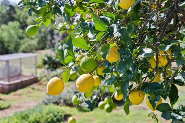 1761 Winterwarm Drive, Fallbrook, CA 92028