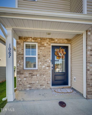 1067 Hammett Road 1067, Johnson City, TN 37615