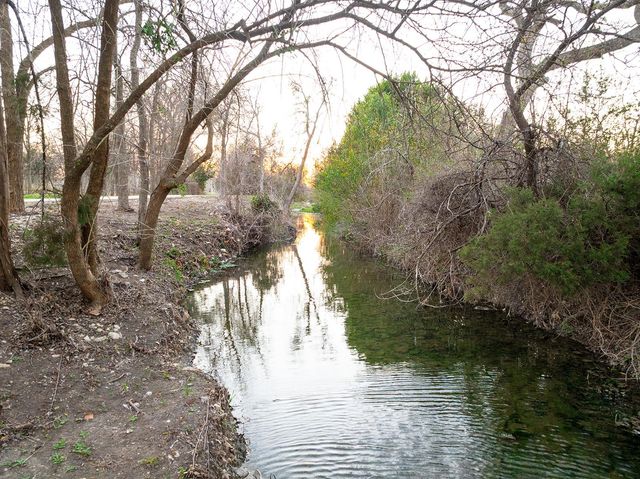 313 Michaelis DR, Leander, TX 78641