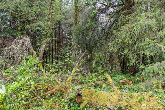 4300 40TH Street, Seaview, WA 98644