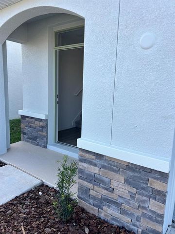 32454 WEATHERED OAK DRIVE N, Wesley Chapel, FL 33543