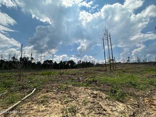 0 Whitetown Lane, Hazlehurst, MS 39083