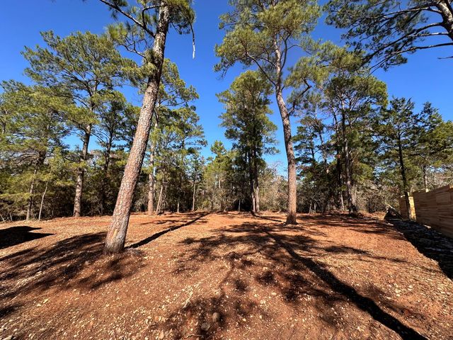 211 Helemano DR, Bastrop, TX 78602