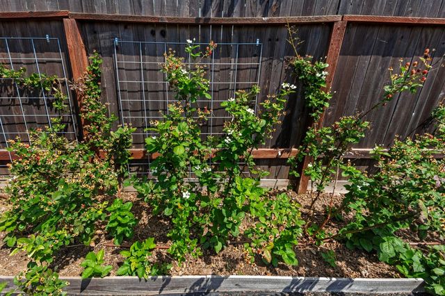 7506 Saybrook Dr, Citrus Heights, CA 95621