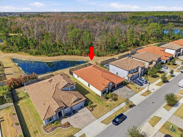 4011 BURDICK LOOP, Odessa, FL 33556