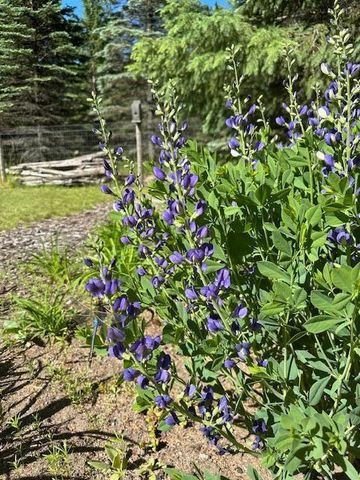 13869 Hardy Lake Road SW, Pillager, MN 56473