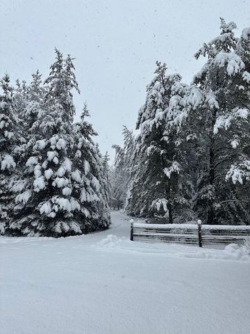 13869 Hardy Lake Road SW, Pillager, MN 56473