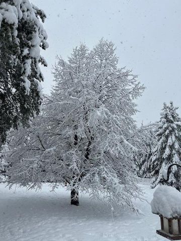 13869 Hardy Lake Road SW, Pillager, MN 56473