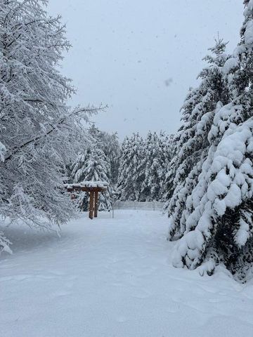 13869 Hardy Lake Road SW, Pillager, MN 56473