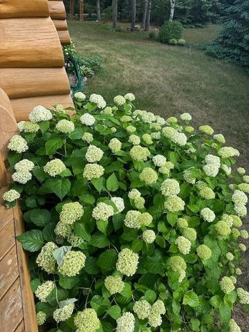 13869 Hardy Lake Road SW, Pillager, MN 56473