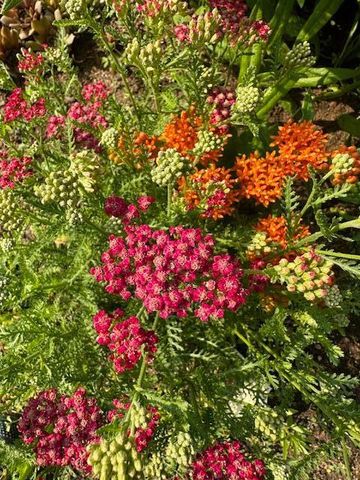 13869 Hardy Lake Road SW, Pillager, MN 56473