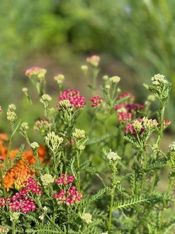 13869 Hardy Lake Road SW, Pillager, MN 56473