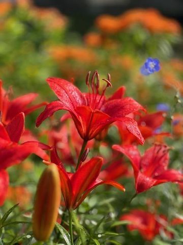 13869 Hardy Lake Road SW, Pillager, MN 56473