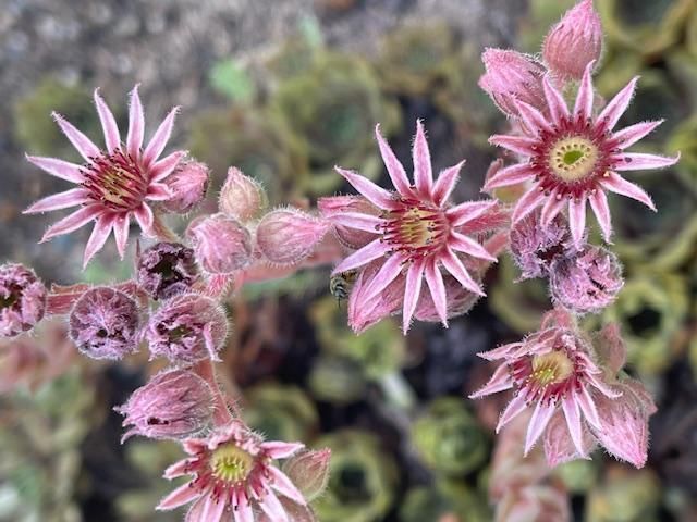 13869 Hardy Lake Road SW, Pillager, MN 56473