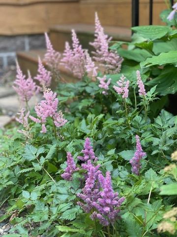 13869 Hardy Lake Road SW, Pillager, MN 56473