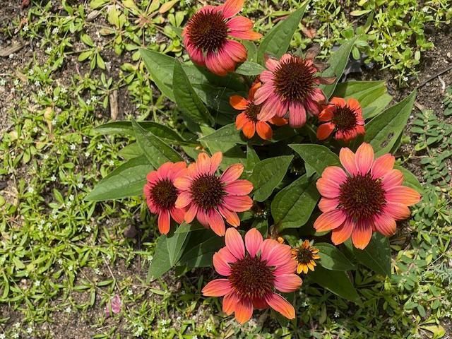 13869 Hardy Lake Road SW, Pillager, MN 56473