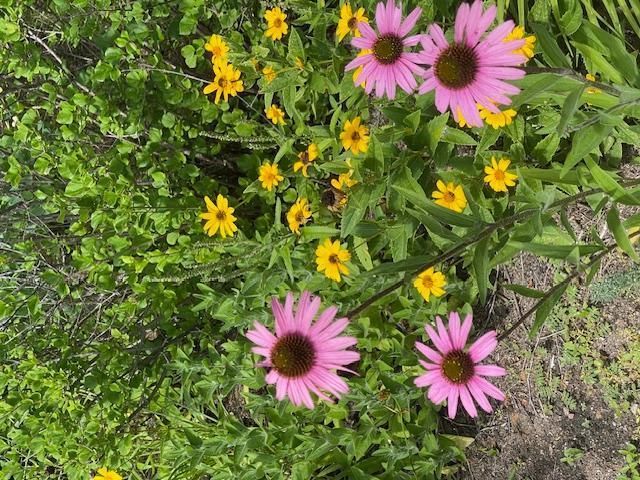 13869 Hardy Lake Road SW, Pillager, MN 56473