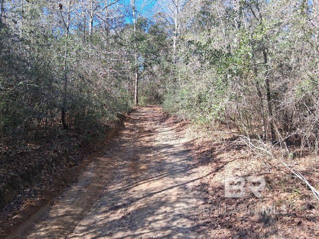 32799 Rustic Bend, Robertsdale, AL 36567