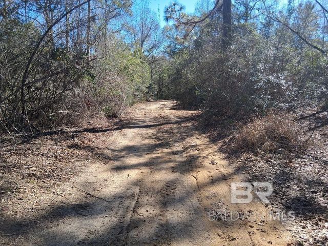 32799 Rustic Bend, Robertsdale, AL 36567