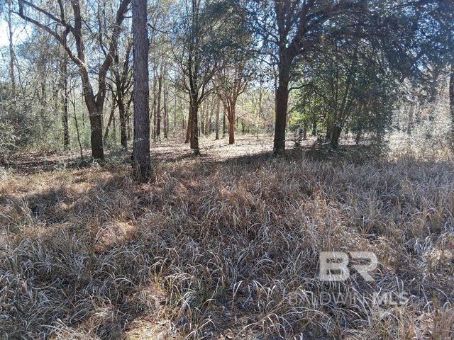 32799 Rustic Bend, Robertsdale, AL 36567