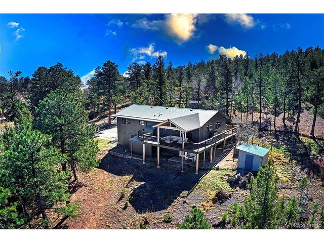 81 Fir Ln, Bailey, CO 80421