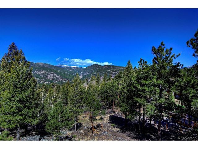 81 Fir Ln, Bailey, CO 80421