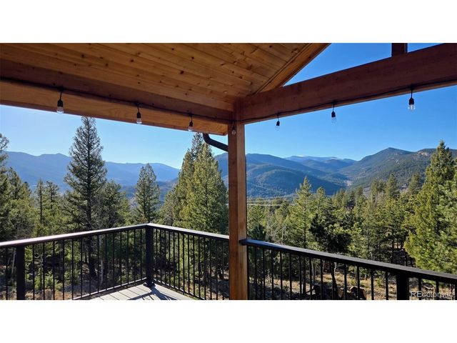 81 Fir Ln, Bailey, CO 80421