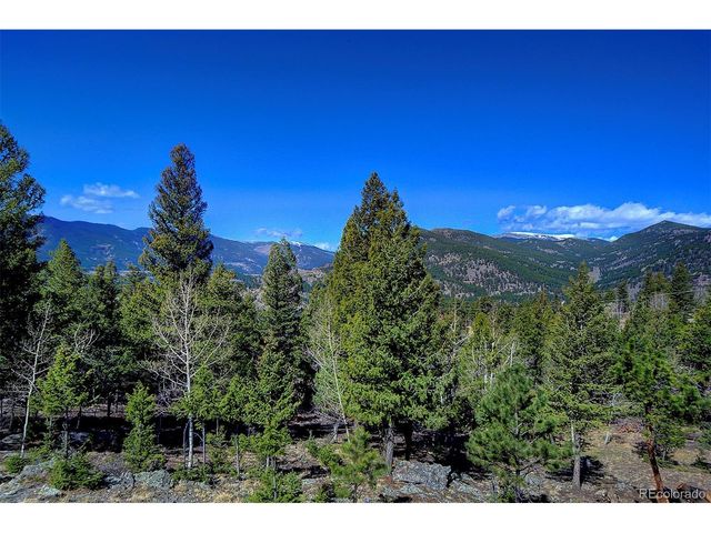 81 Fir Ln, Bailey, CO 80421