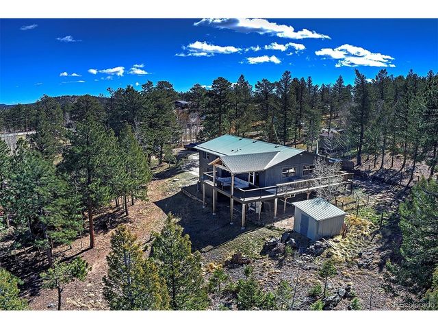 81 Fir Ln, Bailey, CO 80421