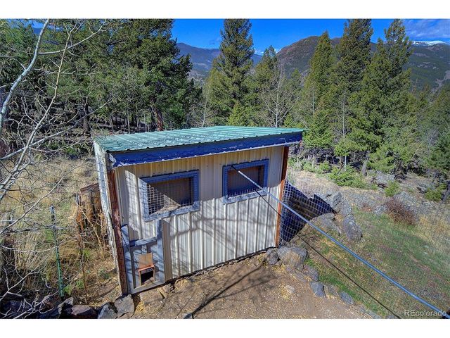 81 Fir Ln, Bailey, CO 80421