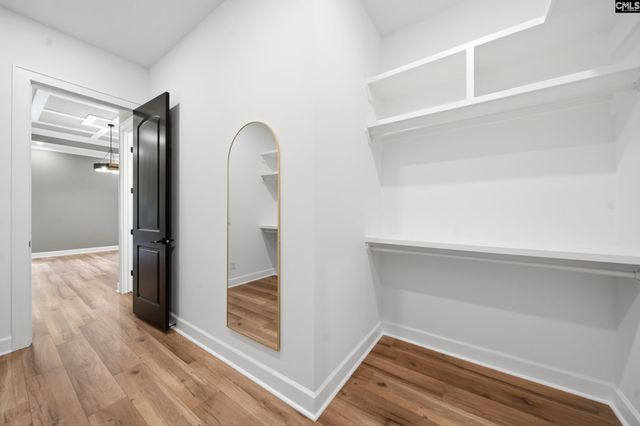 149 Primrose Lane, Chapin, SC 29036