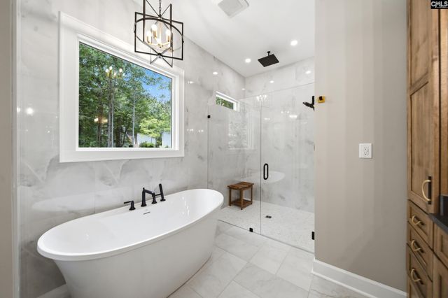 149 Primrose Lane, Chapin, SC 29036