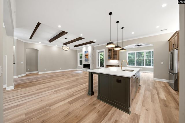 149 Primrose Lane, Chapin, SC 29036