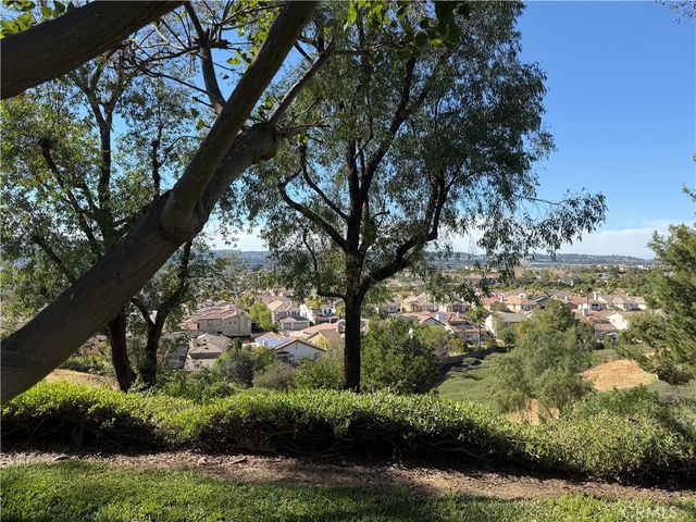 25134 Via Terracina, Laguna Niguel, CA 92677