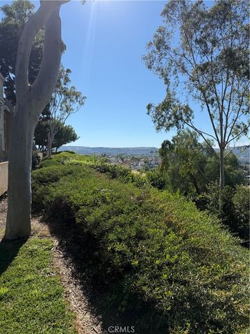 25134 Via Terracina, Laguna Niguel, CA 92677