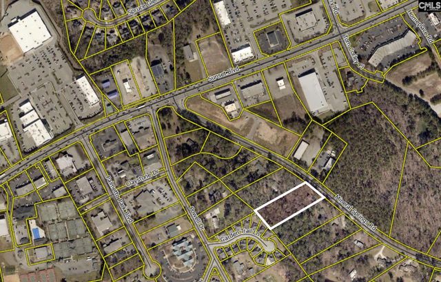 2450 Mineral Springs Road, Lexington, SC 29072