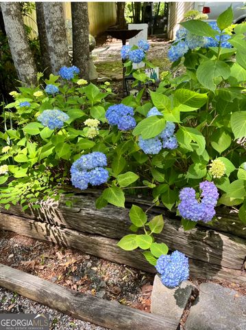 146 Canyon Pass, Cleveland, GA 30528