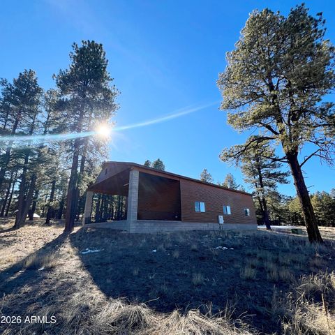 3 County Road N2261 --, Alpine, AZ 85920